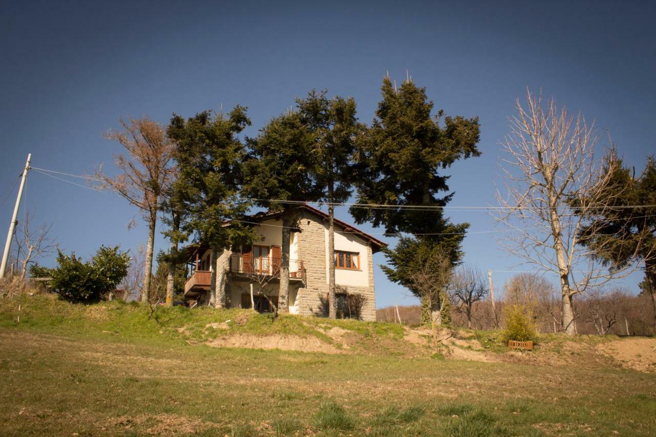 פרטוווקיו B&B Vista Casentino מראה חיצוני תמונה