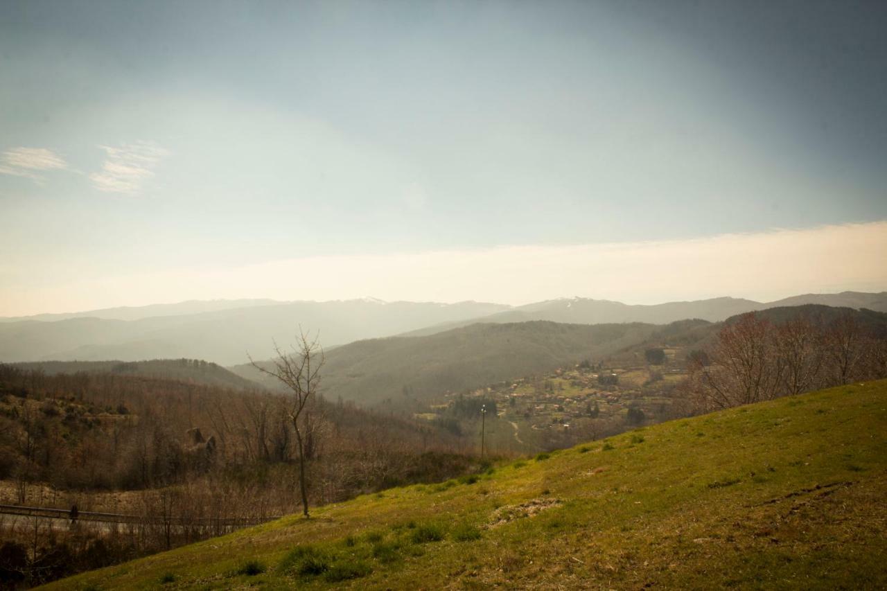 פרטוווקיו B&B Vista Casentino מראה חיצוני תמונה