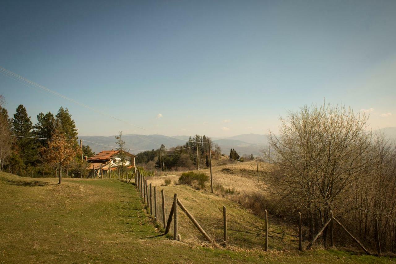 פרטוווקיו B&B Vista Casentino מראה חיצוני תמונה