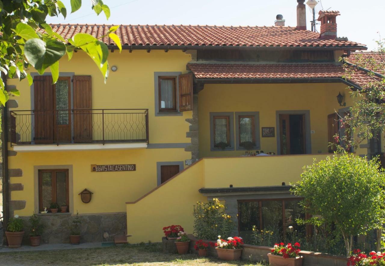פרטוווקיו B&B Vista Casentino מראה חיצוני תמונה