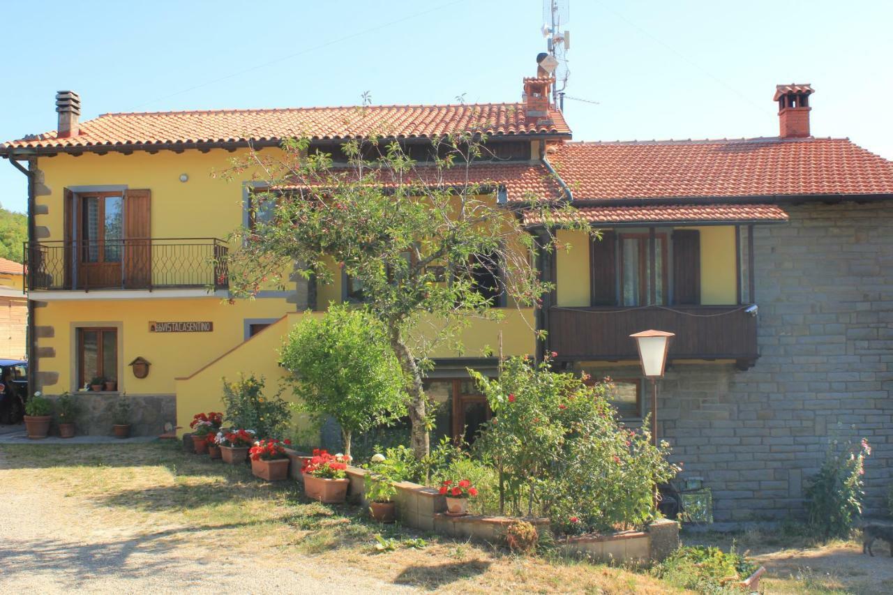 פרטוווקיו B&B Vista Casentino מראה חיצוני תמונה