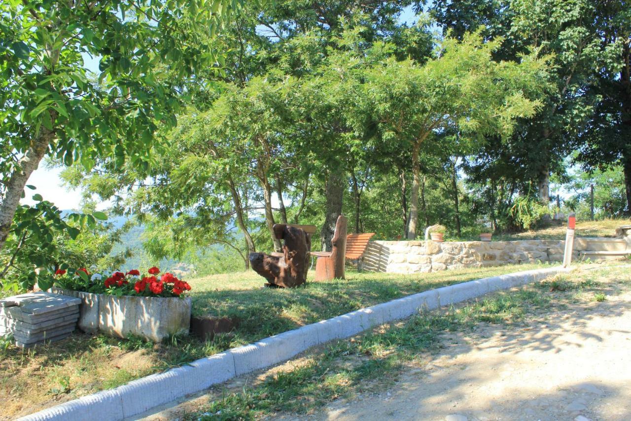 פרטוווקיו B&B Vista Casentino מראה חיצוני תמונה