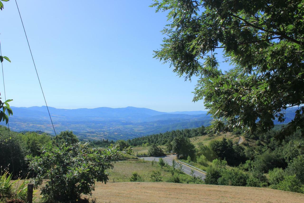 פרטוווקיו B&B Vista Casentino מראה חיצוני תמונה